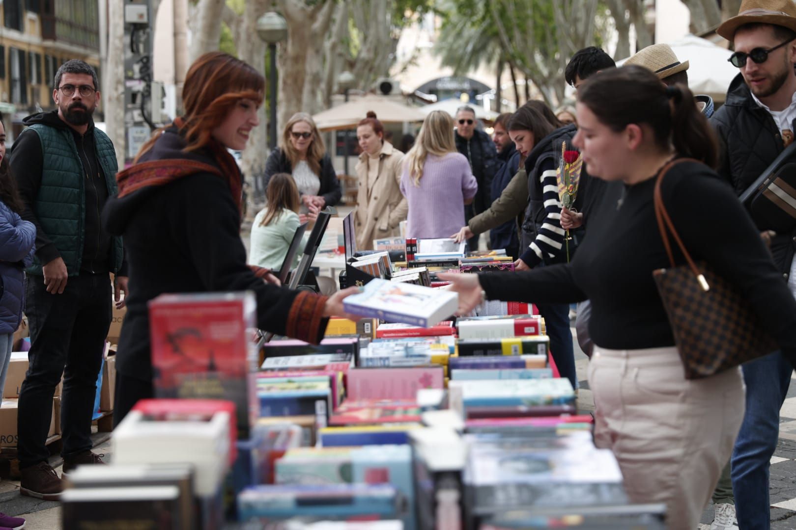 Palma celebra Sant Jordi.