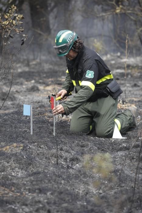 Incendi a Riudellots de la Selva