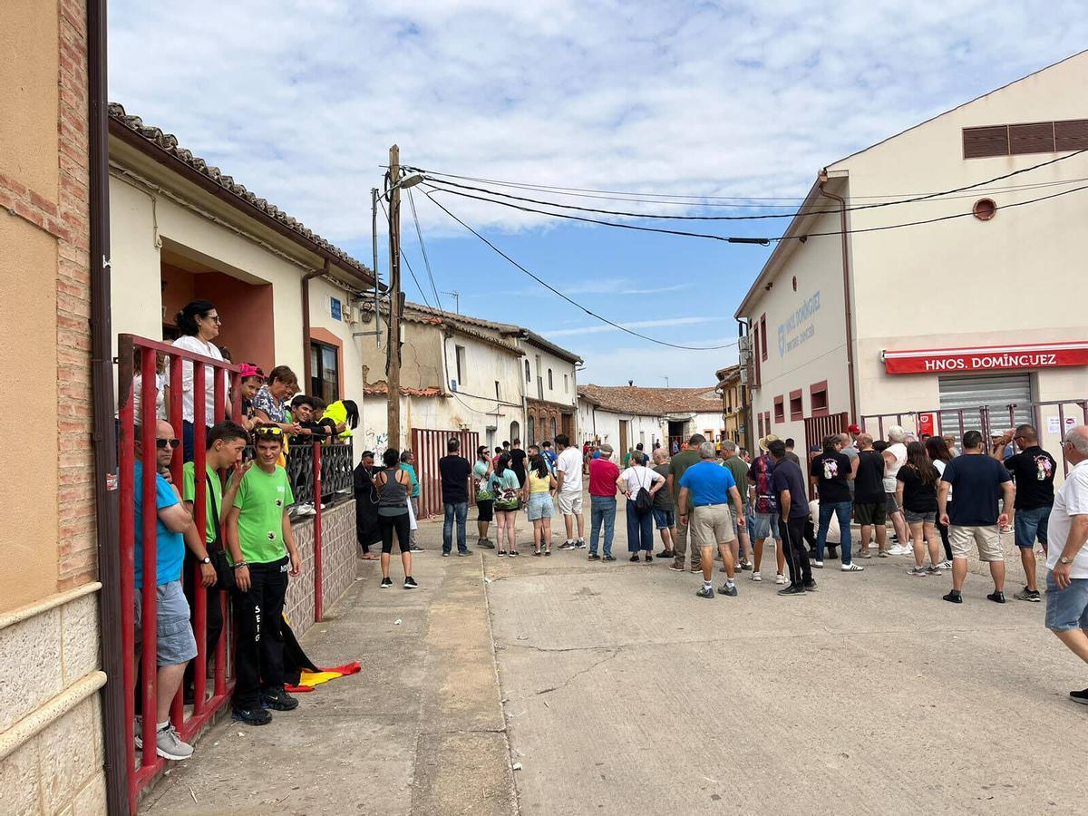 Morales de Toro, Fiestas de San Roque 2026