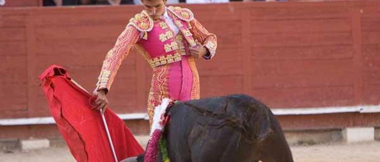 Las ONG alegan que no querían salir en el cartel de la corrida benéfica