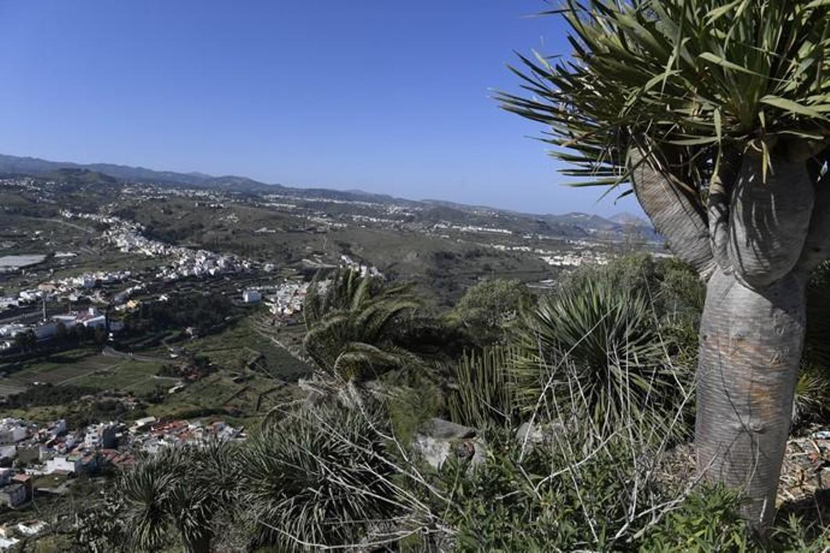 GRAN CANARIA 14-01-2019 ARUCAS. METEOROLOGIA. Calima. Vistas desde la Montaña de Arucas  FOTOS: JUAN CASTRO