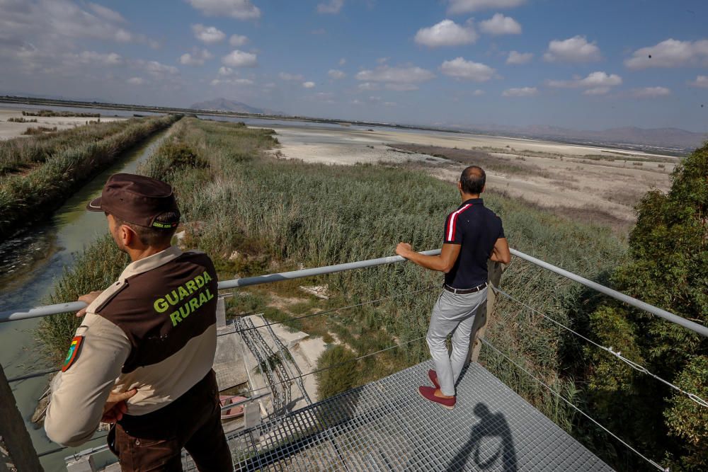 Lucha en El Hondo contra la invasión de la carpa