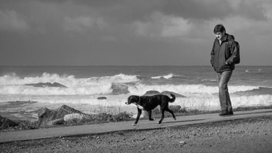 La felicidad de los perros