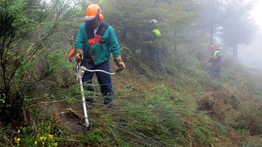 Tareas de desbroce y prevención de incendios en días pasados en Pena de Francia.  // Bernabé/Javier Lalín