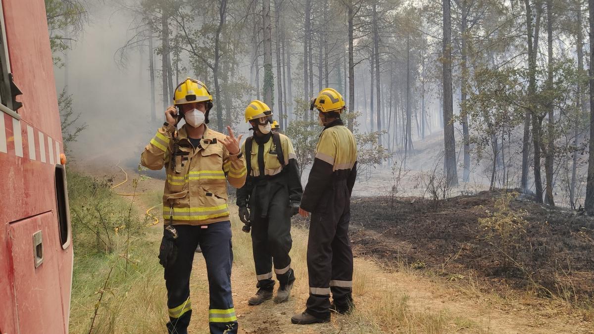 Un bomber amb dos AOF al fons en un incendi forestal.