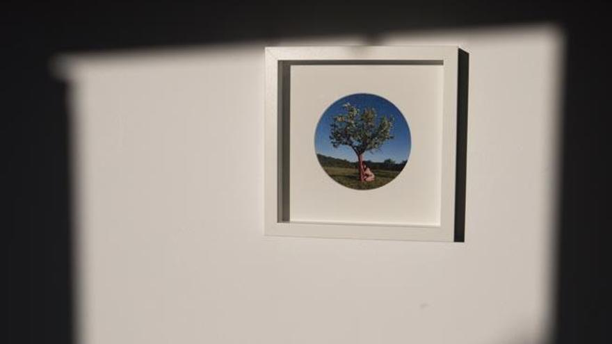 Una de las fotografías circulares que conforman la exposición de la galería Can Curt en Sant Agustí.