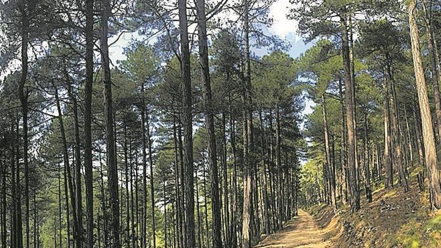 Vilafranca, un destino interior para descubrir