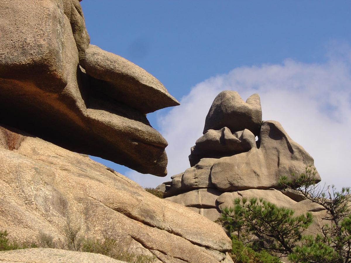 El Monte Pindo alberga los únicos ejemplares de roble enano de Galicia