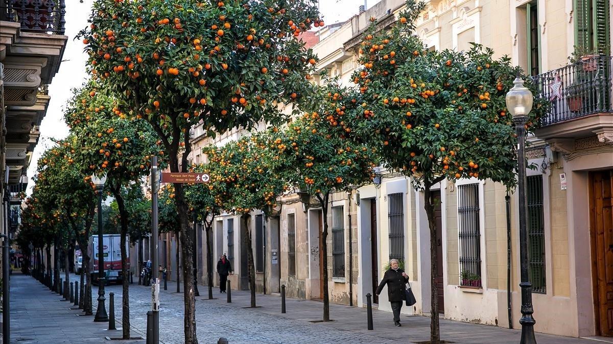 zentauroepp46472957 barcelona  8 01 2018 barceloneando  carrers de sant andreu o190112142756