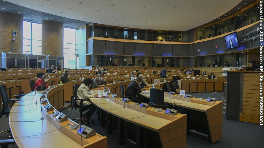 Comisión de Peticiones del Parlamento Europeo.