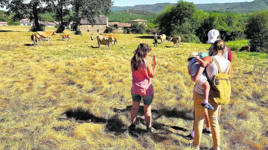 Los pueblos pelean por volver a seducir.