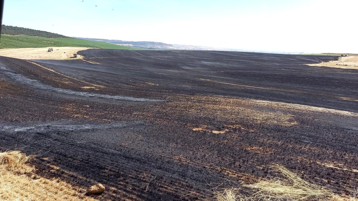 Terrenos que han quedado calcinados por el incendio declarado este jueves