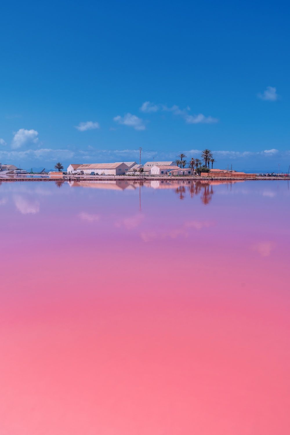 Senda de los Tarays en San Pedro del Pinatar