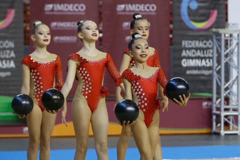 En imágenes el Torneo de Gimnasia Rítmica Ciudad de Córdoba