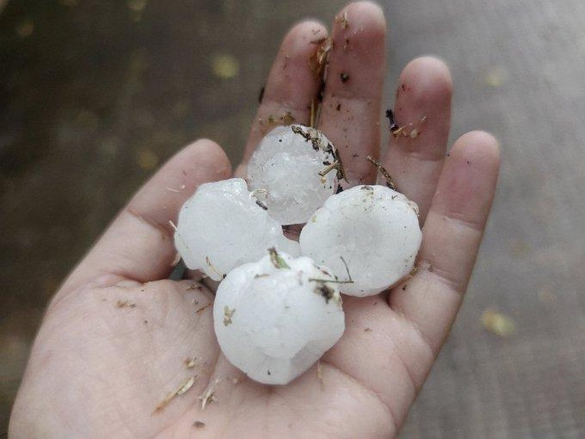 ESte ha sido el tamaño el granizo que ha caído sobre Madrid esta tarde.