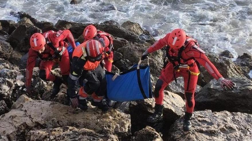 Muere un delfín que ha aparecido varado en la escollera delante de la Catedral de Palma
