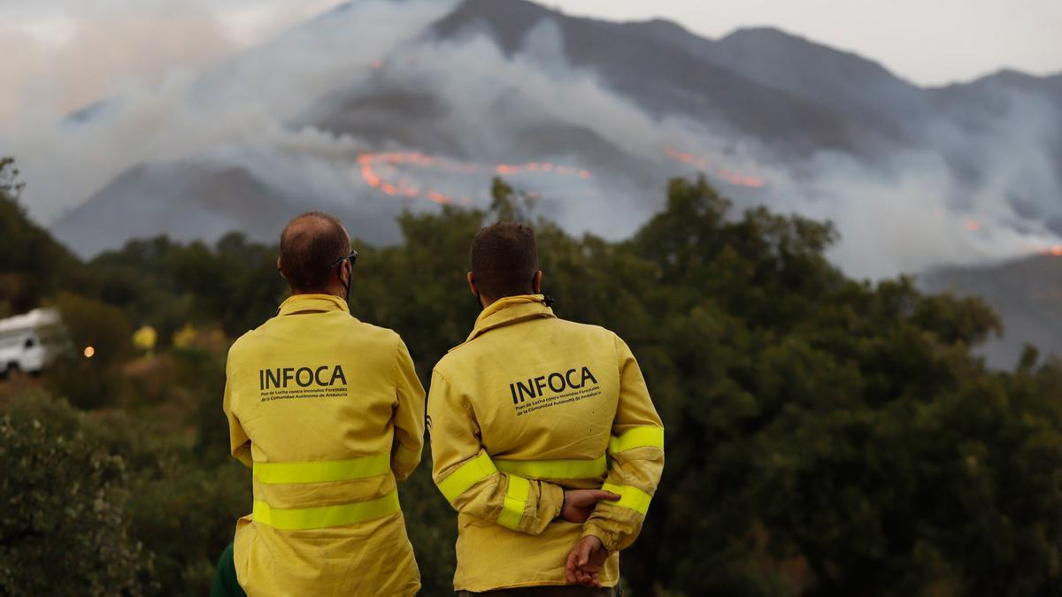 El incendio, visto desde un mirador de Casares.