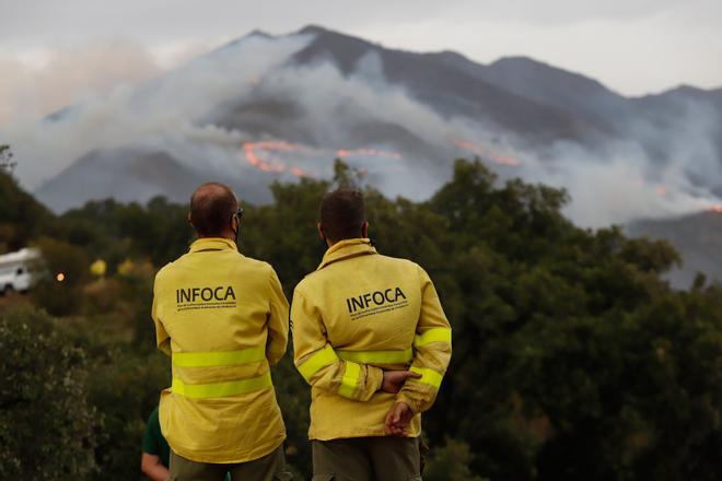 Las imágenes del incendio en Sierra Bermeja