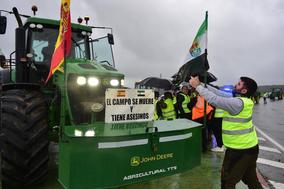 En la rotonda de Fuentidueñas, en Plasencia.