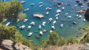 L’excés de vaixells a la Costa Brava posa al límit els agents rurals