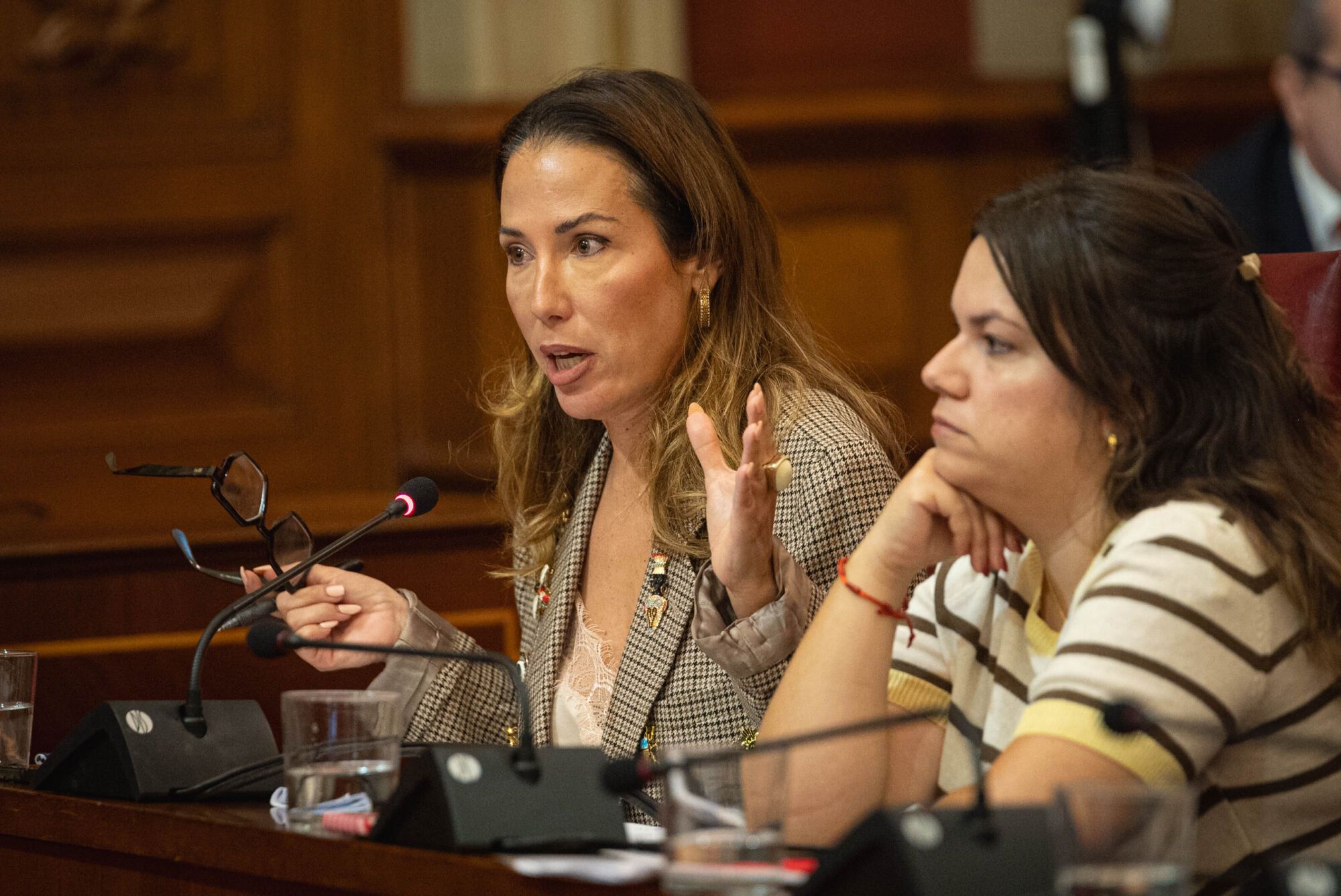 Pleno del Ayuntamiento de Santa Cruz