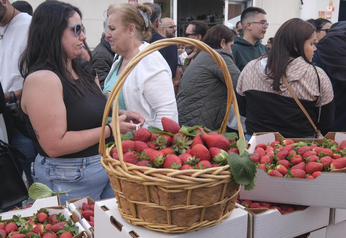 Cestas de fresas, hoy en Valsequillo