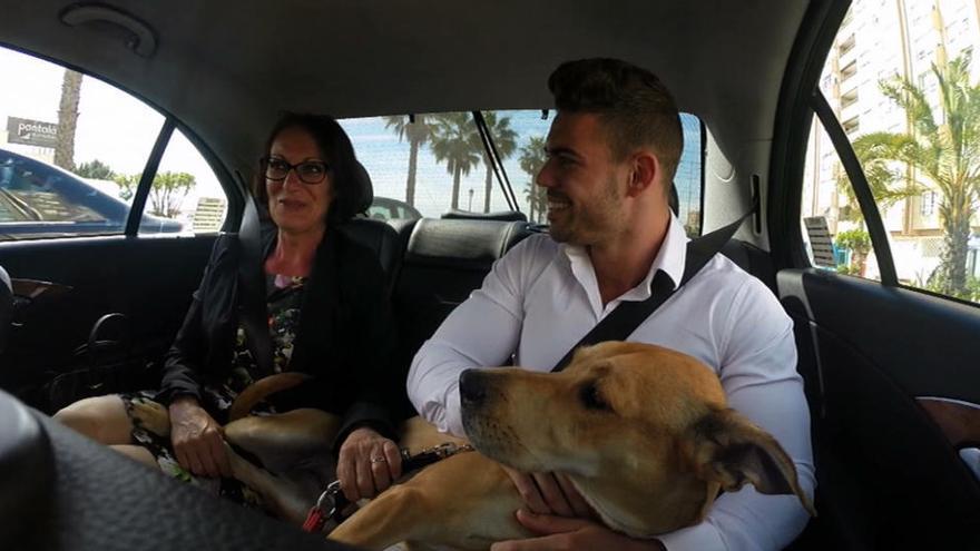 Cuatro estrena «Amores perros», el primer «date show» per a gossos i amos