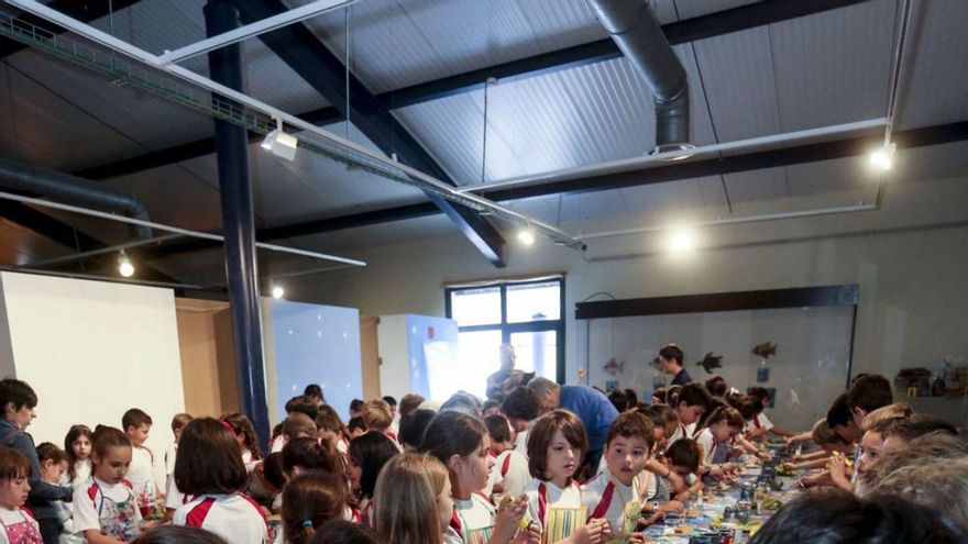 La huelga de educación lastra las cifras del Museo Marítimo de Luanco