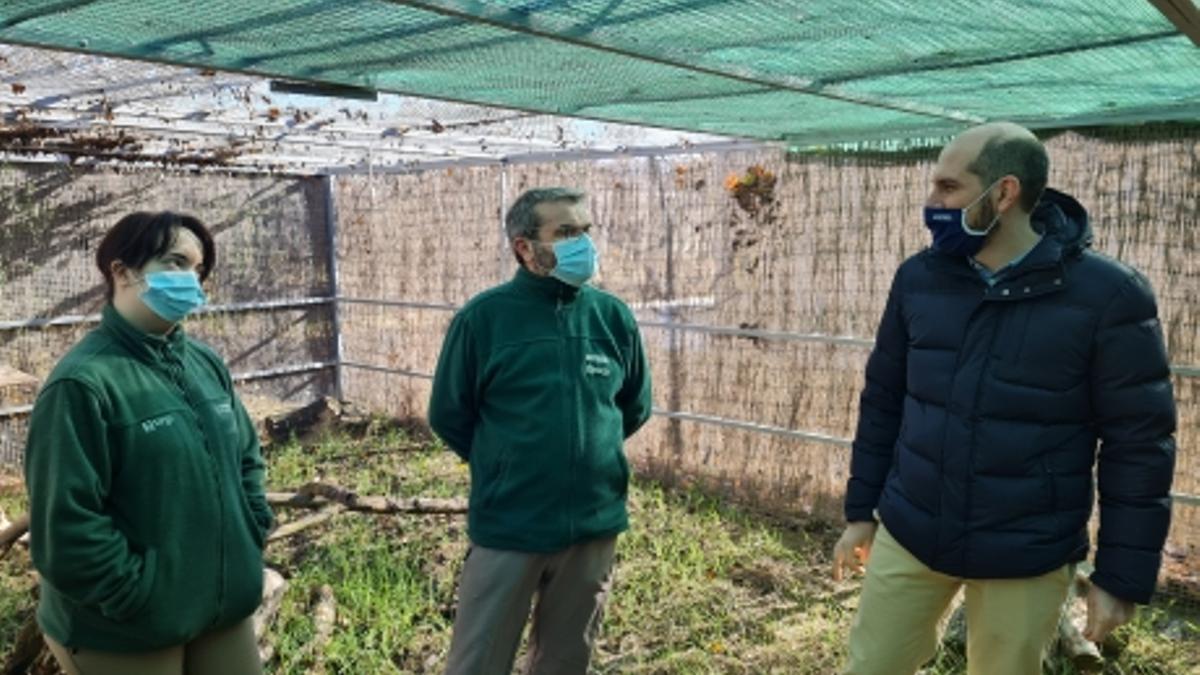 Diego Bayona anuncia una inversión de 1,4 millones para la ampliación del hospital de fauna silvestre de Aragón.