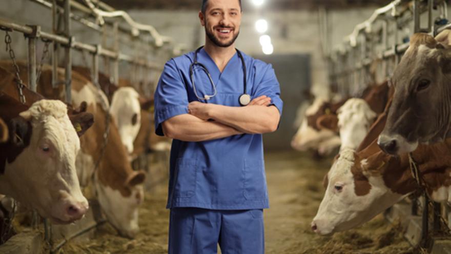 Veterinarios, mecánicos, ingenieros informáticos, camareros de eventos y repartidores, los perfiles más buscados para esta semana