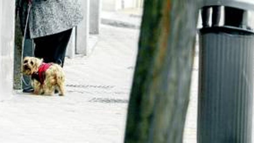 Agentes de paisano multan a los que no recogen las heces de sus perros