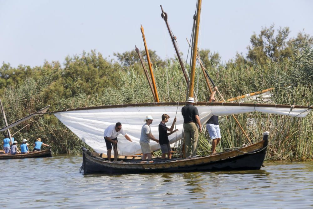 Regata-exhibición de vela latina en l'Albufera