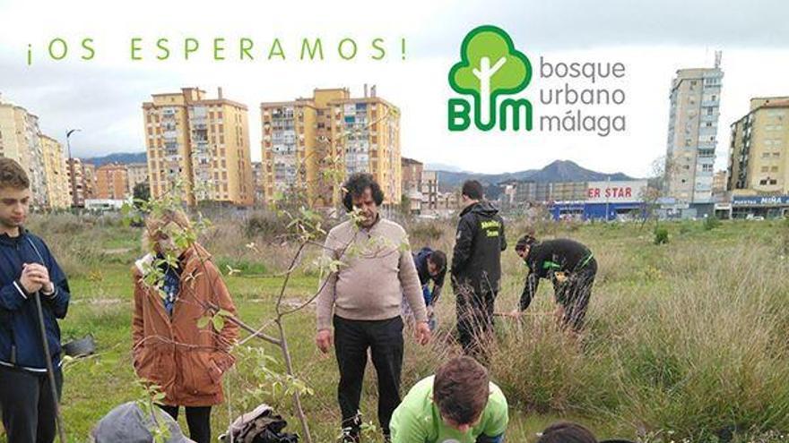 Bosque Urbano hará este domingo una plantación simbólica en Repsol