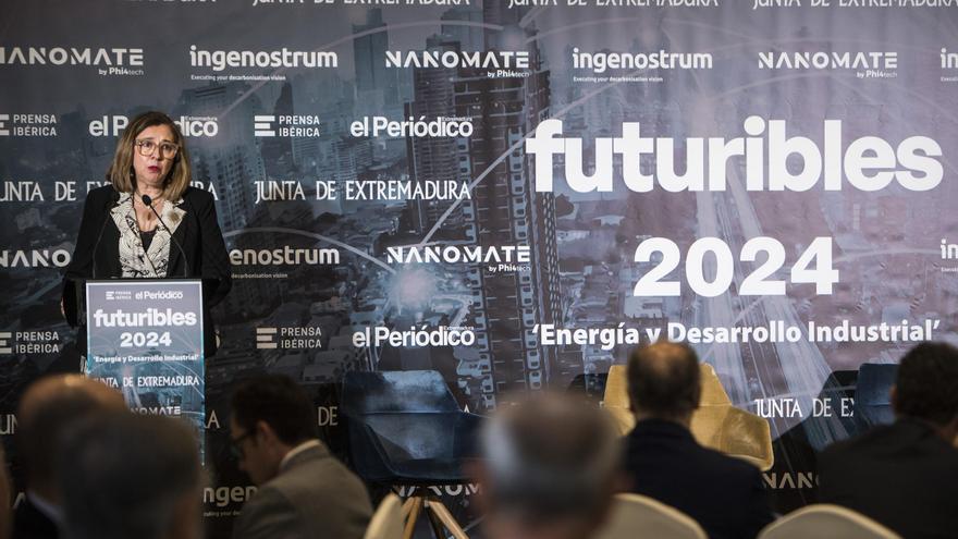 La Junta pide a Red Eléctrica que tenga en cuenta las necesidades de Extremadura para su industrialización