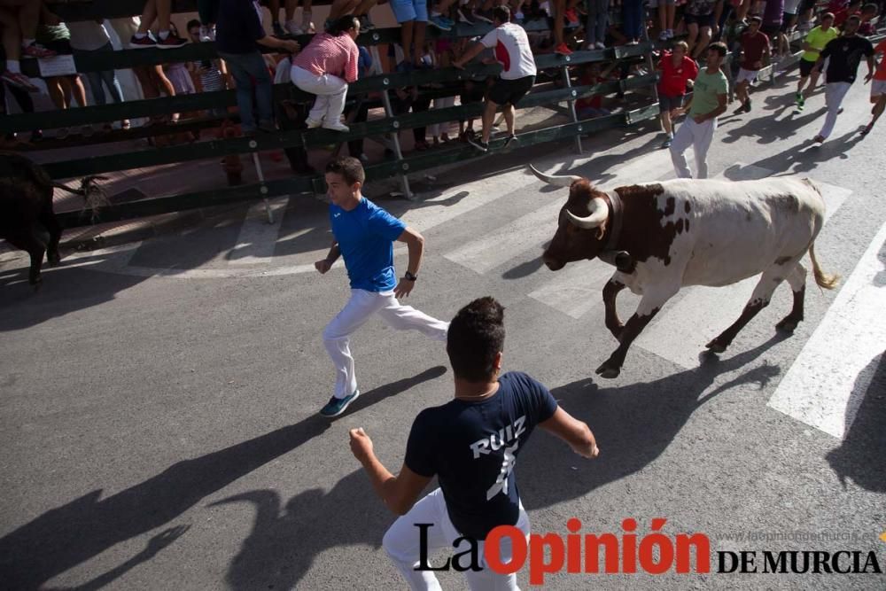 Segundo encierro de Calasparra