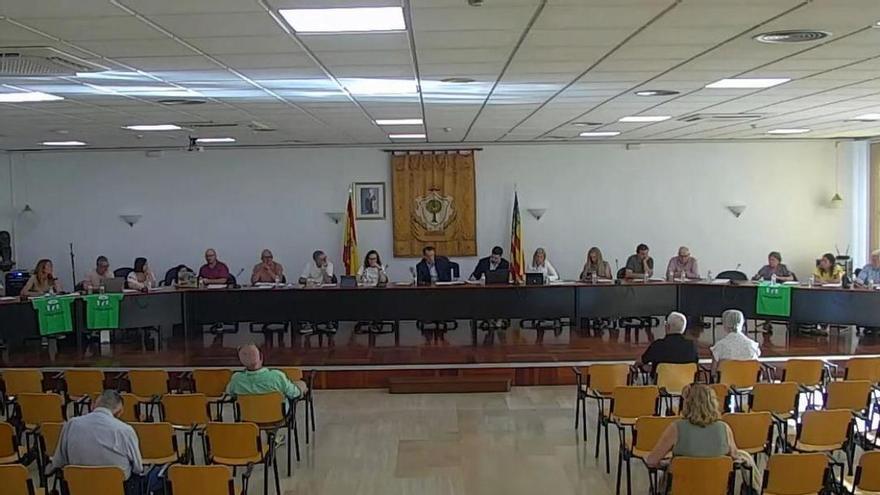 Una concejala del PP exhibe una camiseta de la "marea verde" en el pleno de Alberic