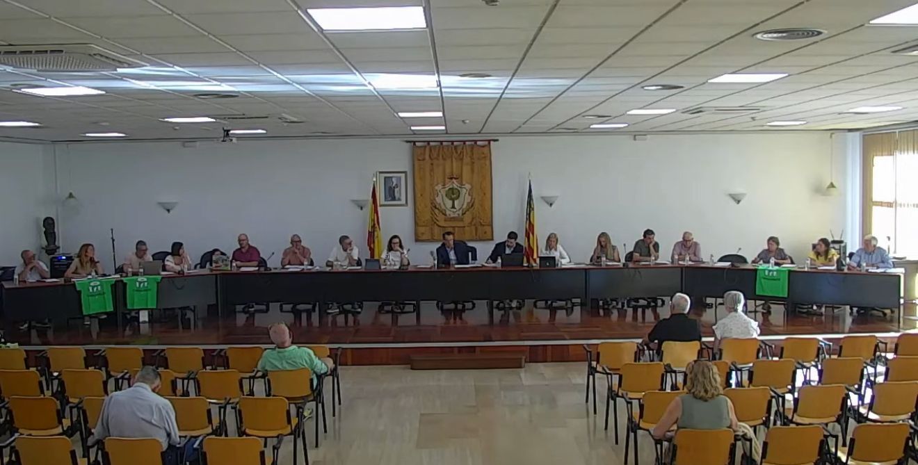 Imagen del pleno de Alberic celebrado esta tarde, con camisetas de la "marea verde" flanqueando la mesa consistorial.