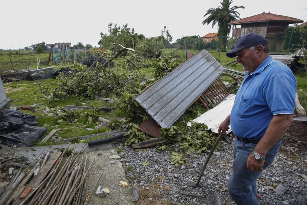 Los resultados del tornado en Ballota