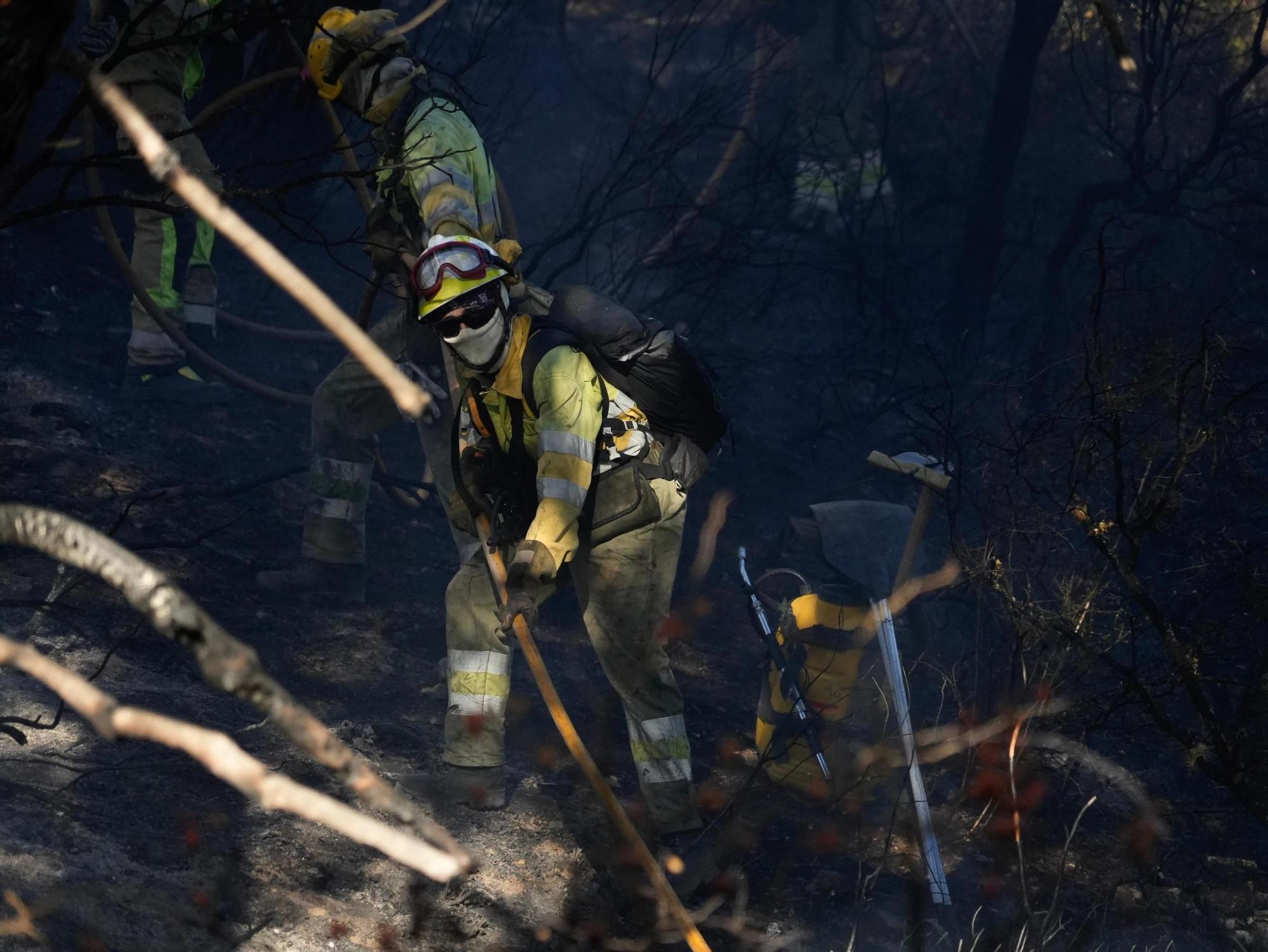 Incendio en el entorno de la Fuente de la Salud de Zamora