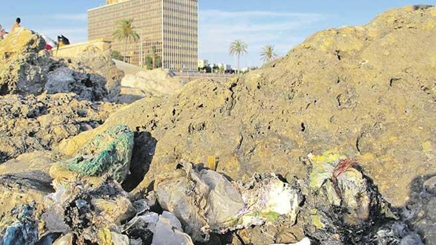 Estos son los plásticos y residuos que los ecologistas denuncian como procedentes de las obras en el puerto.