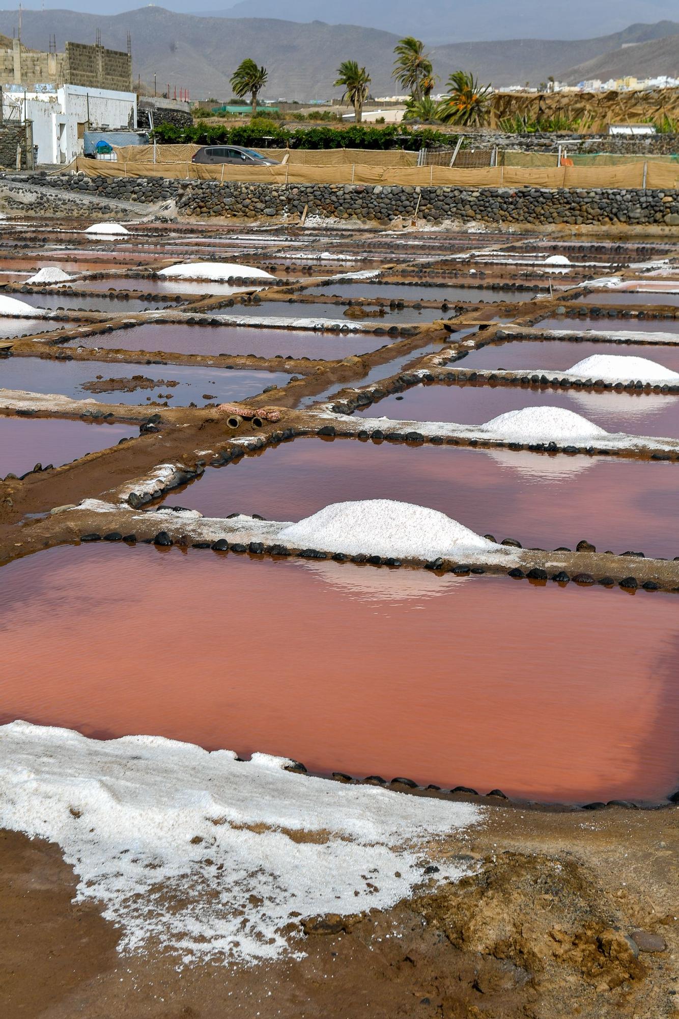 Salinas de Vargas