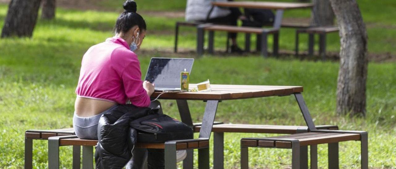 Los campus no podrán pagar las nóminas si el Consell no aumenta el presupuesto