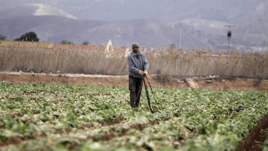 Un trabajador en el campo de Cartagena.