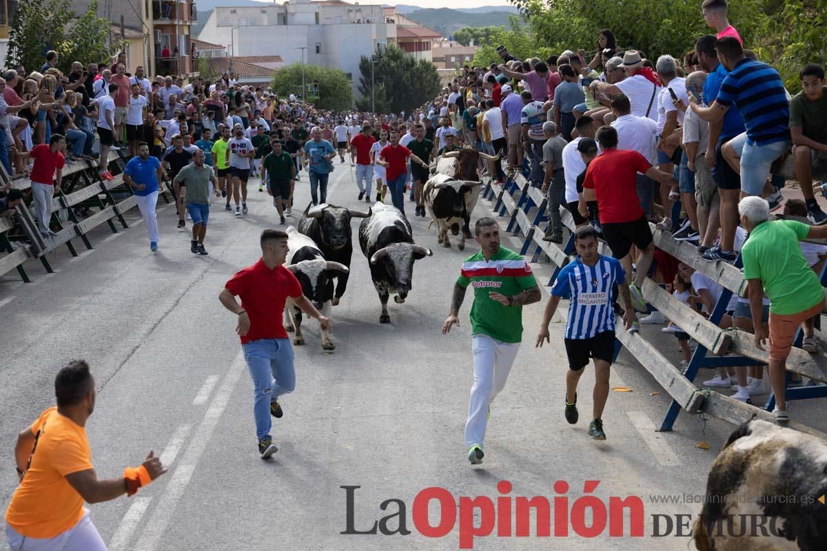 Primer encierro de la Feria del Arroz de Calasparra