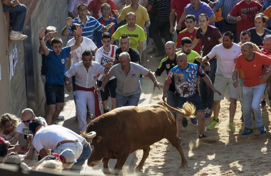 La carrera del Toro Enmaromado 2017 Razonador