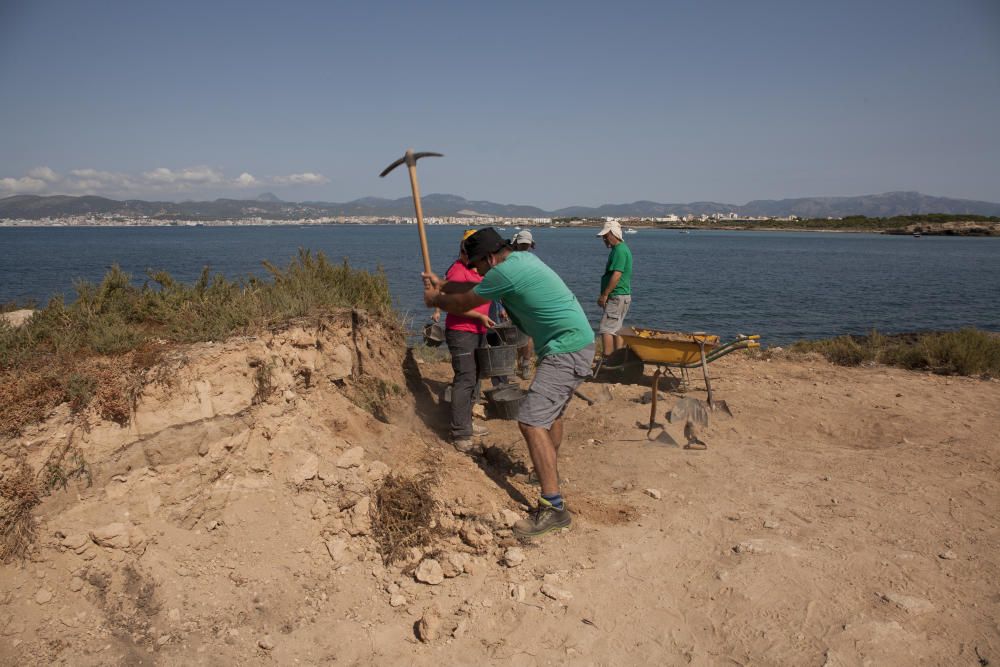 Eine Gruppe von Archäologen hat auf dem Inselchen Na Galera vor Palmas Viertel Can Pastilla wieder Ausgrabungen in Angriff genommen.