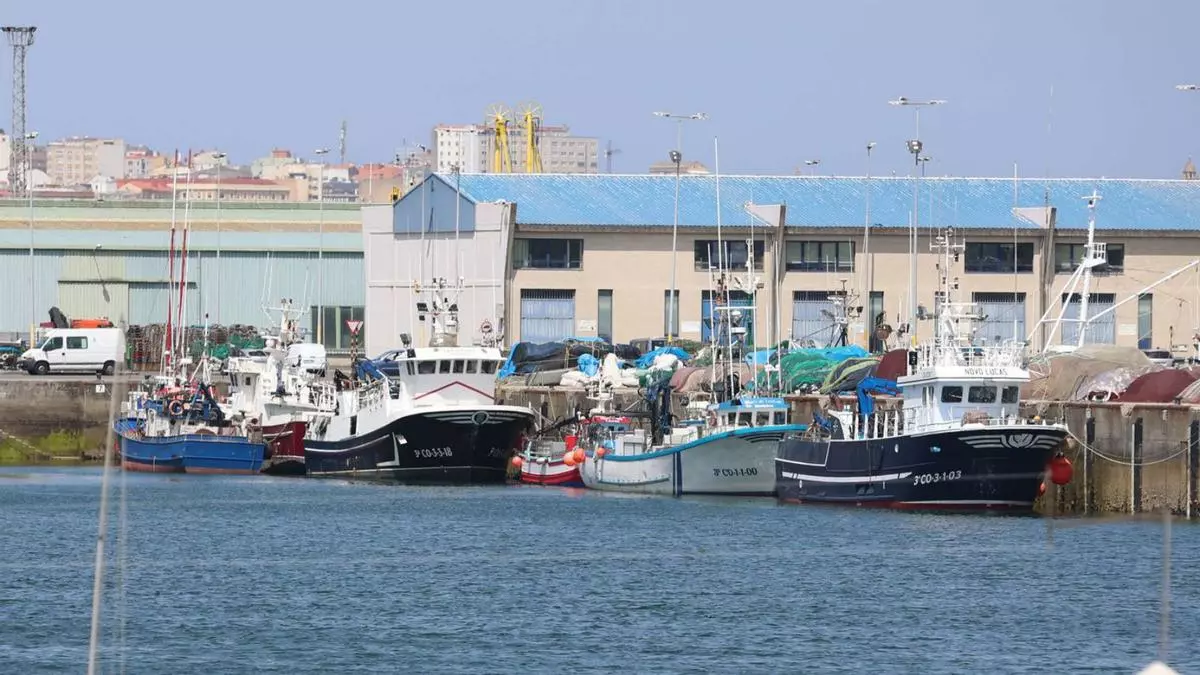 Oleiros adelanta un litigio con la Xunta si no renuncia al proyecto de la planta de aceites en Oza
