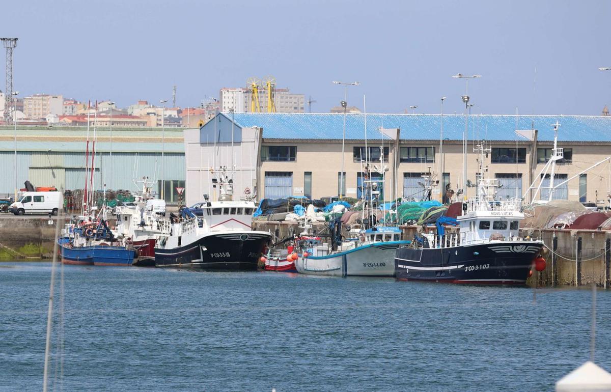 Barcos pesqueros amarrados en el muelle de Oza, en A Coruña. |  Iago López /Roller Agencia