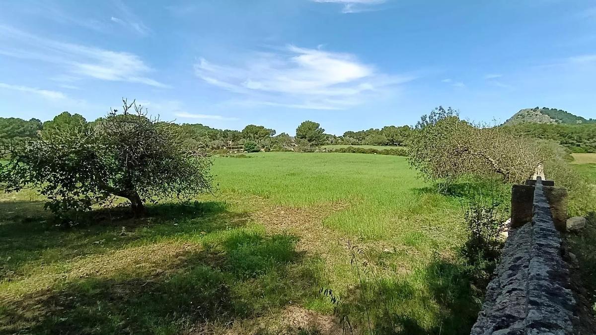 Nach Willen von Gemeinde und Inselrat soll hier der neue Parkplatz an der Cala Agulla entstehen.