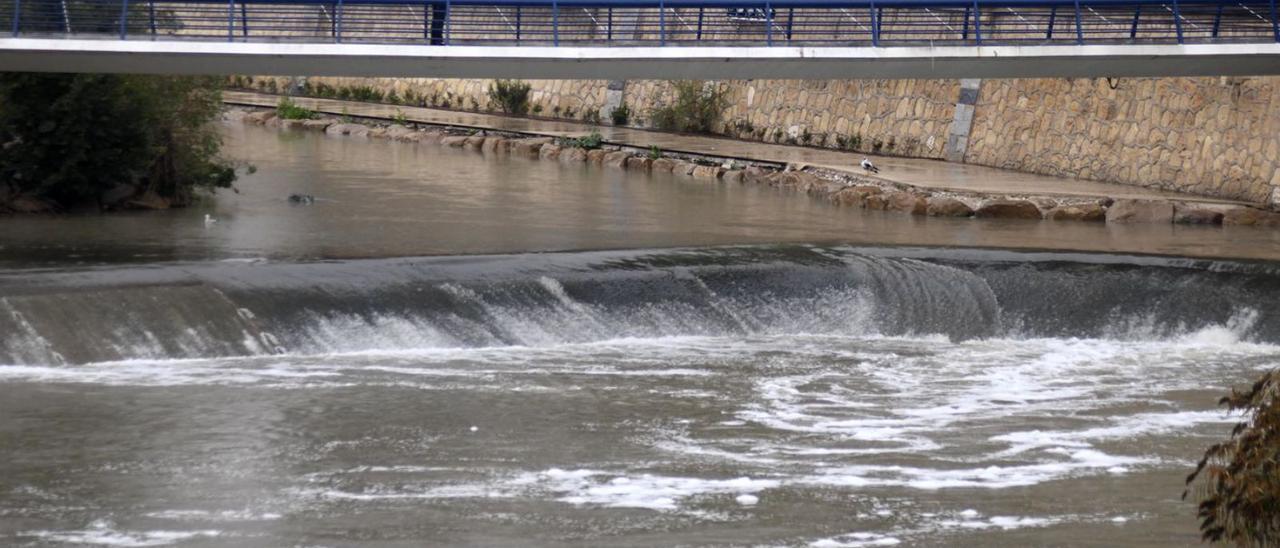 Río Segura, a su paso por Murcia. | ISRAEL SÁNCHEZ